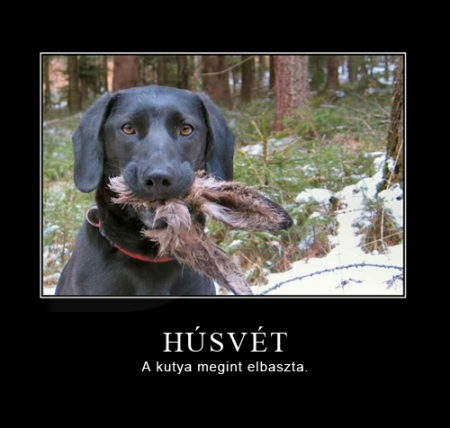 Húsvét