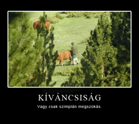 Kíváncsiság