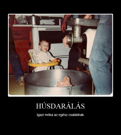 Húsdarálás