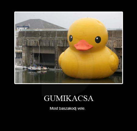 Gumikacsa