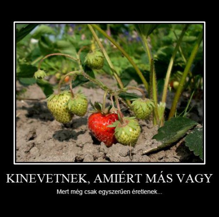 Kinevetnek amiért más vagy...