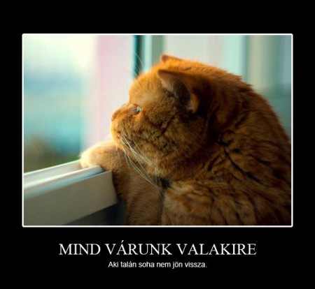 Mind várunk valakire