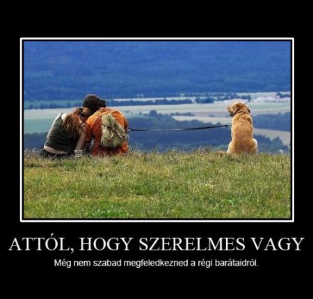 Attól, hogy szerelmes vagy...