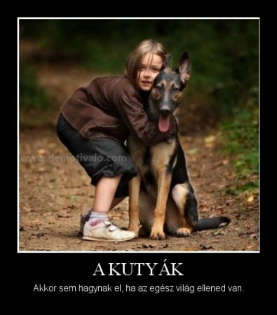 A Kutyák