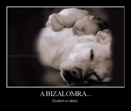 A Bizalomra