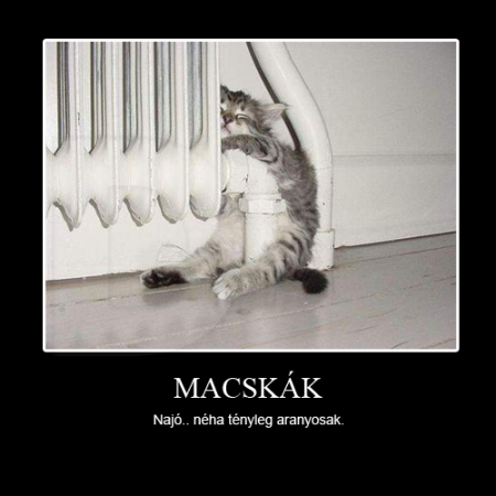 Macskák