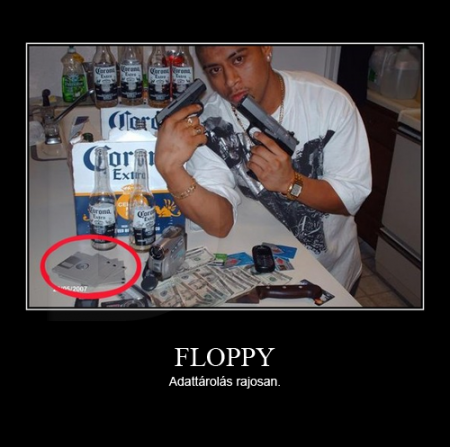 Floppy