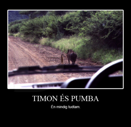 Timon és pumba