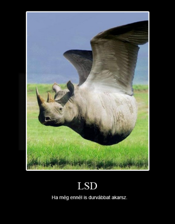 LSD
