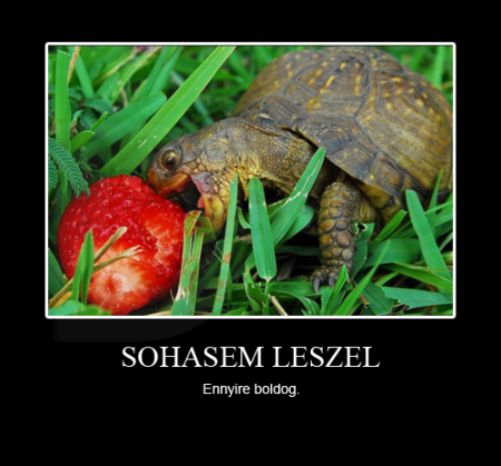 Sohasem leszel...