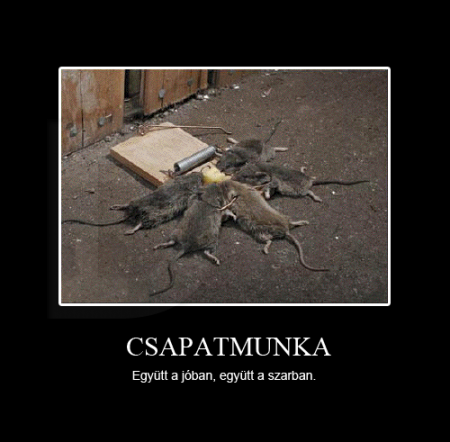 Csapatmunka