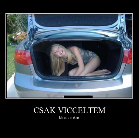 Csak vicceltem