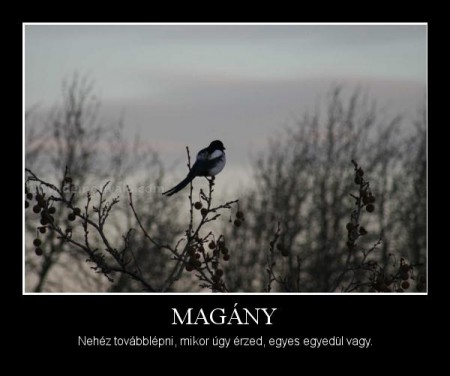 Magány