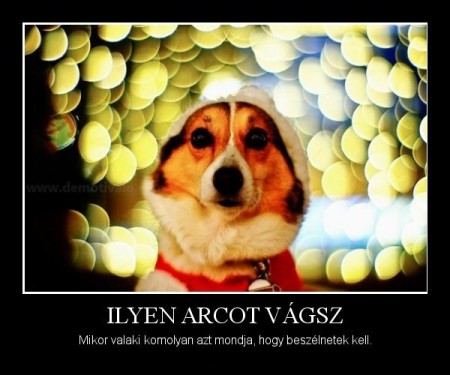 Ilyen arcot vágsz...