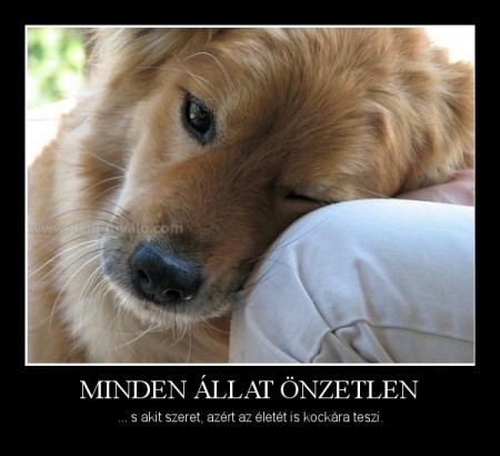 Minden állat önzetlen