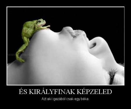 És királyfinak képzeled...