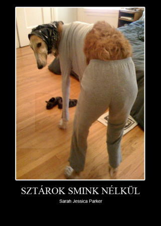 Sztárok smink nélkül