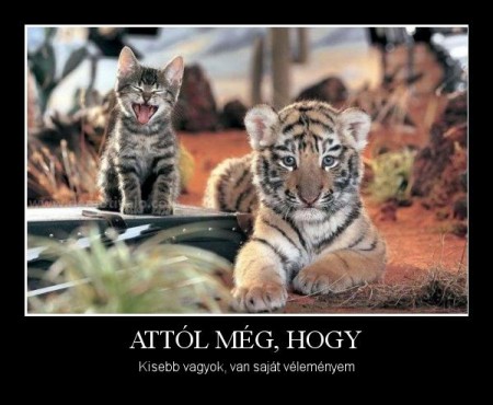 Attól még, hogy...