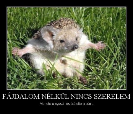 Fájdalom nélkül nincs szerelem...