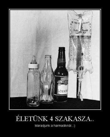 Életünk 4 szakasza...