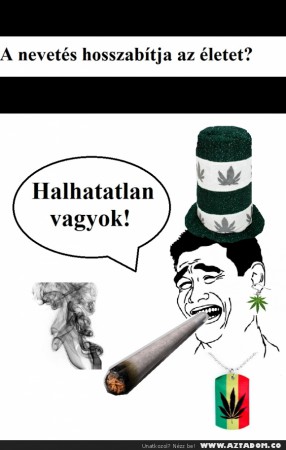 Fű...
