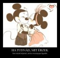 Ha tudnád mit érzek