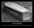 Veszteség