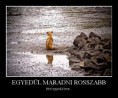 Egyedül maradni rosszabb