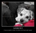 Szeretet