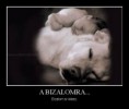 A Bizalomra