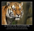 Az igazi nők nem szeretik... 