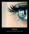 Szem