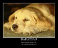 Barátság