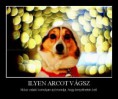 Ilyen arcot vágsz...