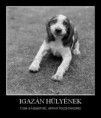 Igazán hülyének...