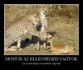 Most is az ellenséged vagyok