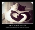 Nem azt mondom