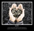 Szív...