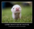 Lehet, hogy kicsi vagyok...