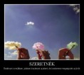 szeretnék...